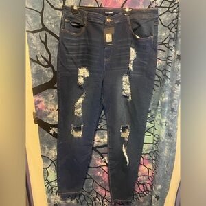 Fashion nova plus size distressed Jeans